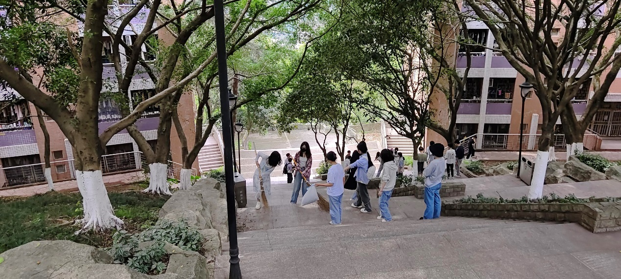 tyc41183太阳成集团开展“践行劳动育人实践，增强金融强国本领”主题劳动实践活动